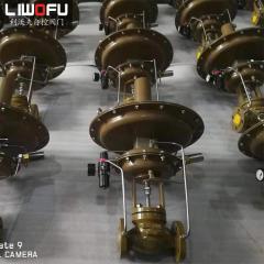 不同应用场景下的自力式压力荔枝视频下载解决方案