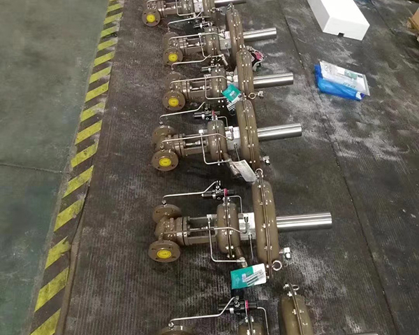 自力式压力荔枝视频下载车间展示